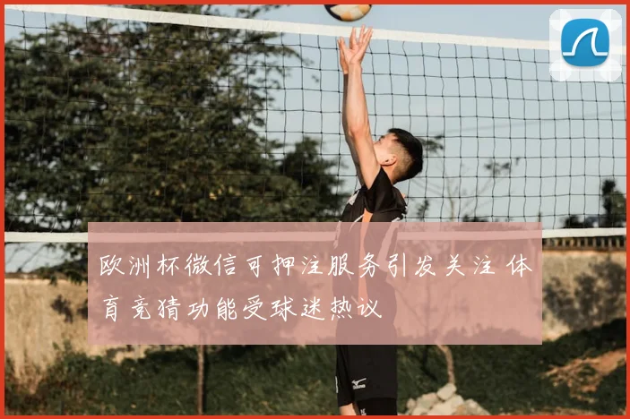欧洲杯微信可押注服务引发关注 体育竞猜功能受球迷热议