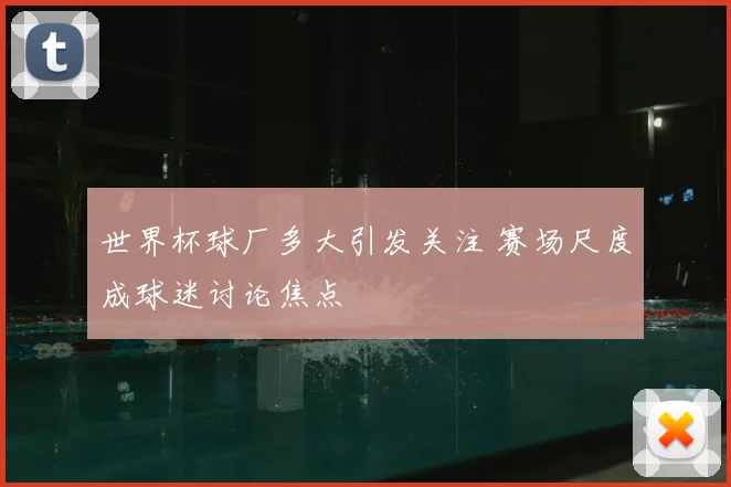世界杯球厂多大引发关注 赛场尺度成球迷讨论焦点