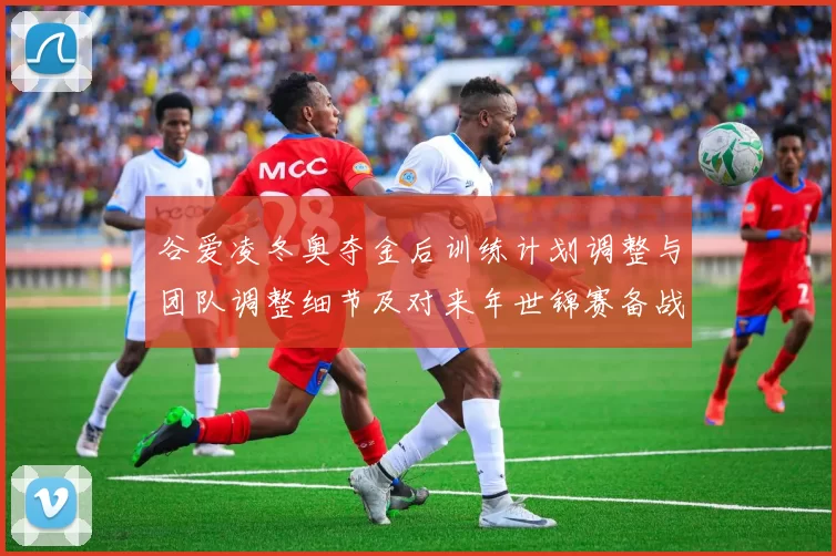 谷爱凌冬奥夺金后训练计划调整与团队调整细节及对来年世锦赛备战影响